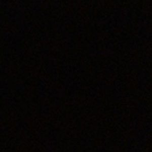 Meet your Posher, Alanah